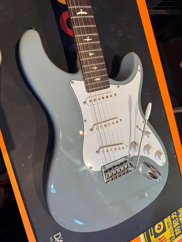 P.R.S. SE Silverskyの画像